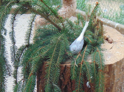 FOTKA - I tady jsme byli - Botanick� zahrada Liberec