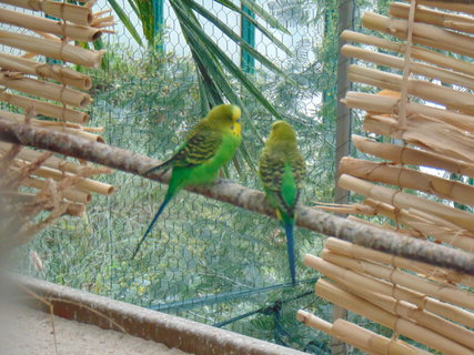 FOTKA - I tady jsme byli - Botanick� zahrada Liberec