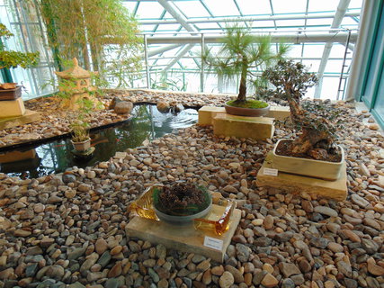 FOTKA - I tady jsme byli - Botanick� zahrada Liberec