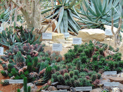 FOTKA - I tady jsme byli - Botanick� zahrada Liberec