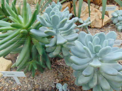 FOTKA - I tady jsme byli - Botanick� zahrada Liberec