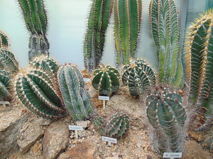 FOTKA - I tady jsme byli - Botanick� zahrada Liberec