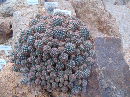 FOTKA - I tady jsme byli - Botanick� zahrada Liberec