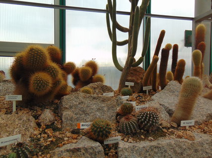 FOTKA - I tady jsme byli - Botanick� zahrada Liberec