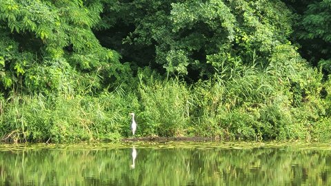 FOTKA - Svatojakubsk� v�chodo�esk� � v�let sedmn�ct�