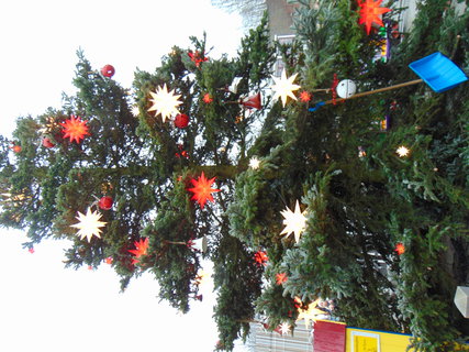 FOTKA - Ohl�dnut� za adventem