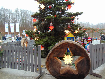 FOTKA - Ohl�dnut� za adventem