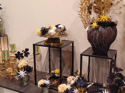 FOTKA - Ohl�dnut� za adventem