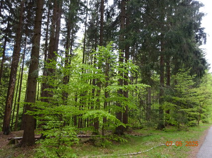 FOTKA - Od vodop�du k vodop�du