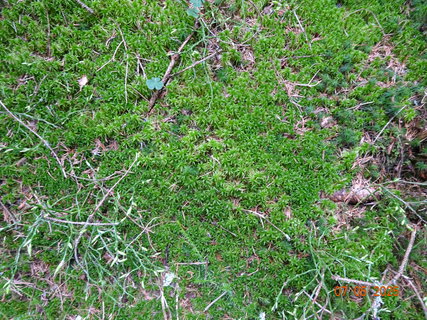 FOTKA - Od vodop�du k vodop�du