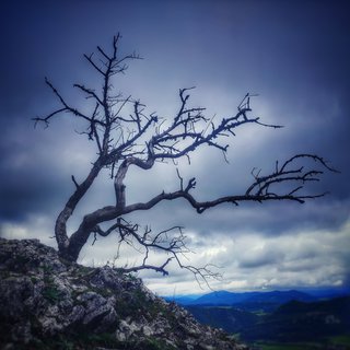 FOTKA - V�let na Man�nskou tie��avu