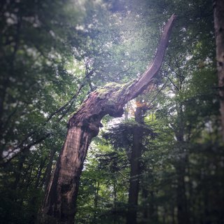 FOTKA - V�let na Man�nskou tie��avu