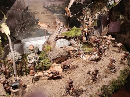 FOTKA - Muzeum betl�m� v Kry�tofov� �dol�