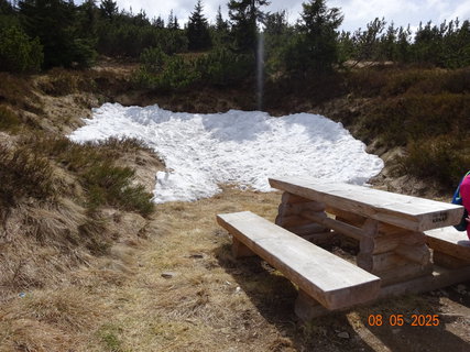 FOTKA - K prameni Labe p�es Polsko