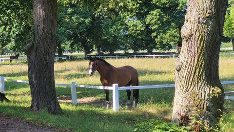 FOTKA - Svatojakubsk� v�chodo�esk� � v�let osmn�ct�