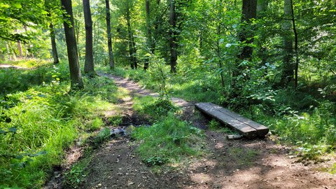 FOTKA - Svatojakubsk� v�chodo�esk� � v�let osmn�ct�