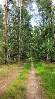 FOTKA - Svatojakubsk� v�chodo�esk� � v�let osmn�ct�