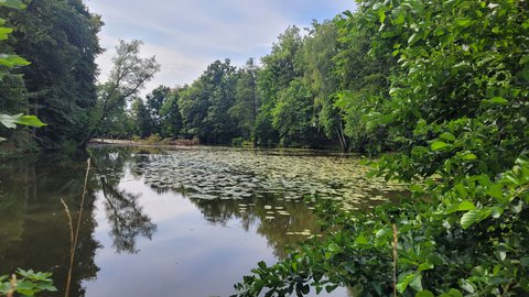 FOTKA - Svatojakubsk� v�chodo�esk� � v�let osmn�ct�