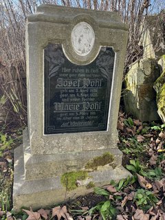 FOTKA - Vrchn� Orlice o��v�