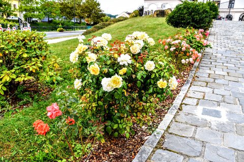 FOTKA - Putov�n� po ji�n� Morav� - z�mek Slavi��n, Otrokovice, Slu�ovice