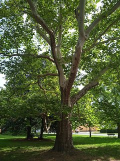 FOTKA - Putov�n� po ji�n� Morav� - z�mek Slavi��n, Otrokovice, Slu�ovice