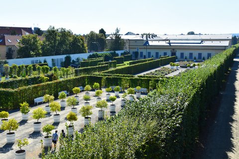 FOTKA - Putov�n� po ji�n� Morav� � Kv�tn� zahrada Krom���