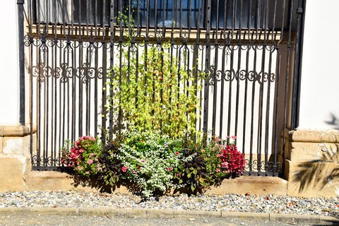 FOTKA - Putov�n� po ji�n� Morav� � Kv�tn� zahrada Krom���