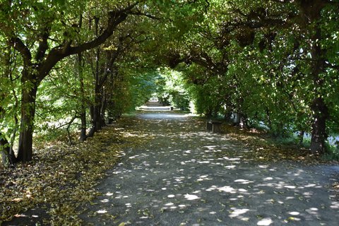 FOTKA - Putov�n� po ji�n� Morav� � Kv�tn� zahrada Krom���