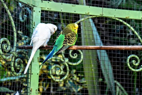 FOTKA - Putov�n� po ji�n� Morav� � Kv�tn� zahrada Krom���