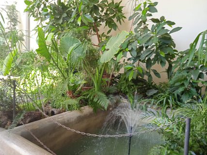 FOTKA - Putov�n� po ji�n� Morav� � Kv�tn� zahrada Krom���