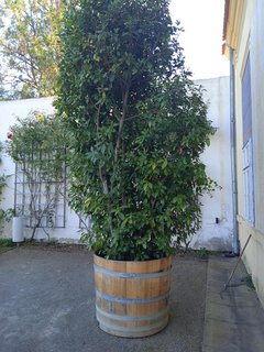 FOTKA - Putov�n� po ji�n� Morav� � Kv�tn� zahrada Krom���