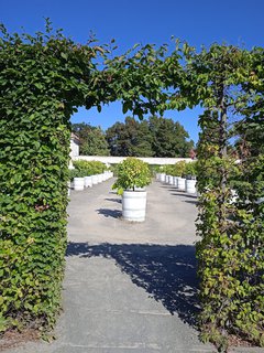 FOTKA - Putov�n� po ji�n� Morav� � Kv�tn� zahrada Krom���