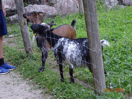 FOTKA - �pindler�v Ml�n - m�sto z�itk�