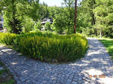 FOTKA - �pindler�v Ml�n - m�sto z�itk�