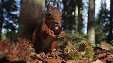 FOTKA - Unik�tn� dokumenty na Prima ZOOM pro 5. t�den