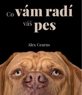 FOTKA - Co v�m rad� v� pes