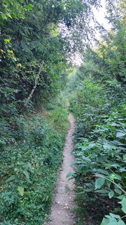 FOTKA - Svatojakubsk� v�chodo�esk� � v�let dvac�t�