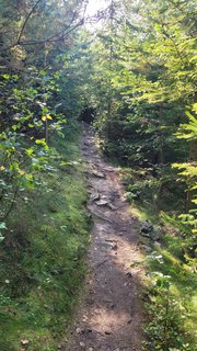 FOTKA - Svatojakubsk� v�chodo�esk� � v�let dvac�t�