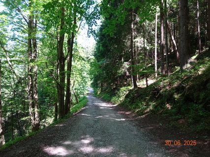 FOTKA - Proch�zka k Labsk� p�ehrad�