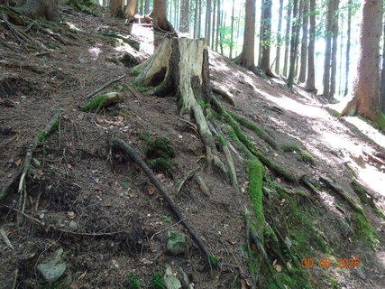 FOTKA - Proch�zka k Labsk� p�ehrad�