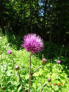 FOTKA - Proch�zka k Labsk� p�ehrad�