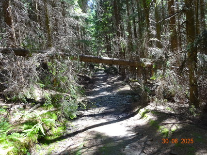 FOTKA - Proch�zka k Labsk� p�ehrad�