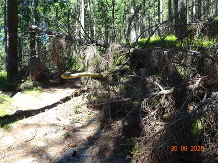 FOTKA - Proch�zka k Labsk� p�ehrad�