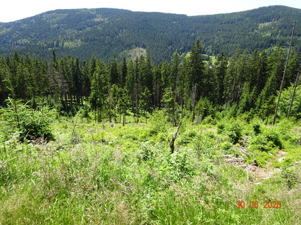 FOTKA - Proch�zka k Labsk� p�ehrad�