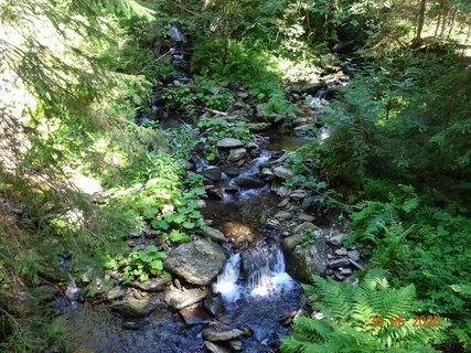 FOTKA - Proch�zka k Labsk� p�ehrad�