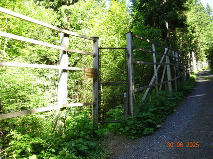 FOTKA - Proch�zka k Labsk� p�ehrad�