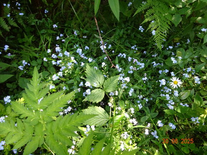 FOTKA - Proch�zka k Labsk� p�ehrad�