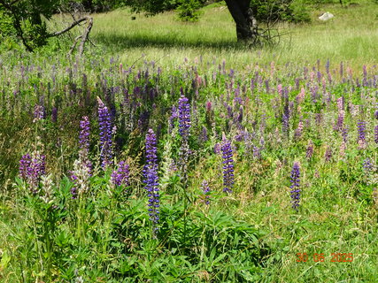 FOTKA - Proch�zka k Labsk� p�ehrad�