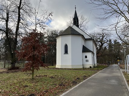 FOTKA - Zimn� Pod�brady