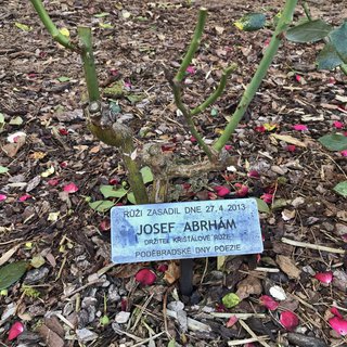 FOTKA - Zimn� Pod�brady